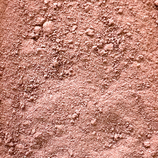 raw cocoa powder mixed with Seven functional mushrooms in Brain Wave cocoa mix