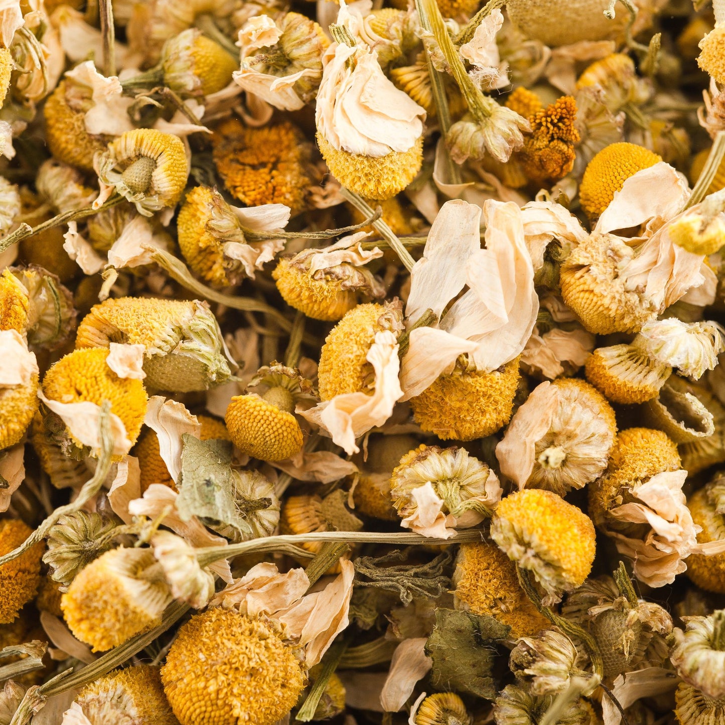 Seed Theory ingredients: chamomile